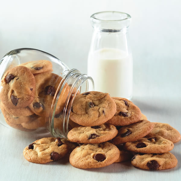 Chocolate Chip 
